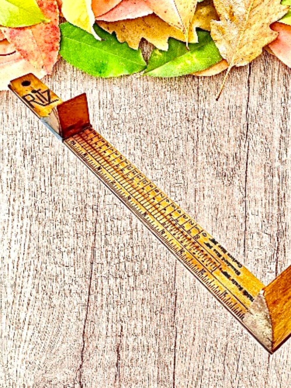 Vintage Ritz Shoe Size Measuring Stick Children & Adult Length & Width